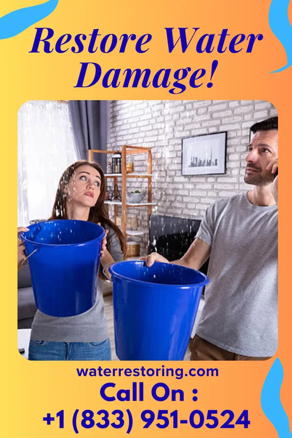 water restoration Diamond Water Repair Contractors Berryville