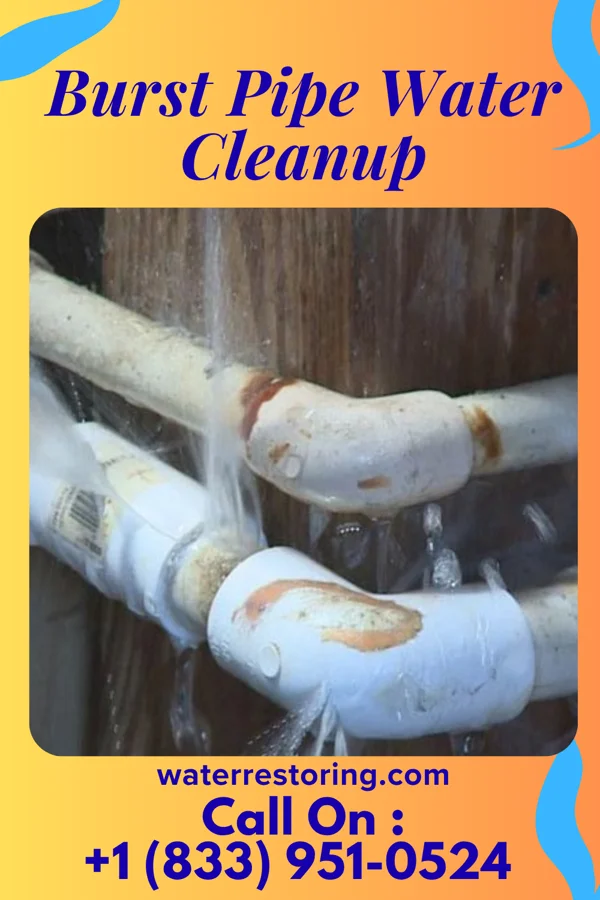 Burst Pipe Water Cleanup in Berryville, VA