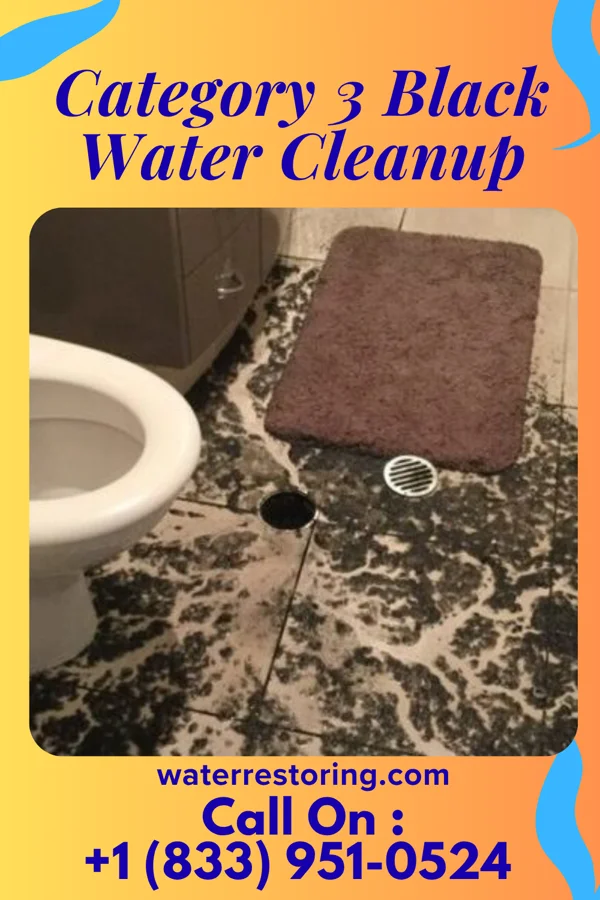 Category 3 Black Water Cleanup in Berryville, VA