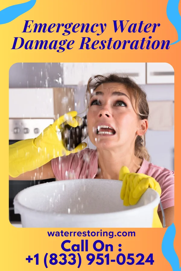 Emergency Water Damage Restoration in Berryville, VA