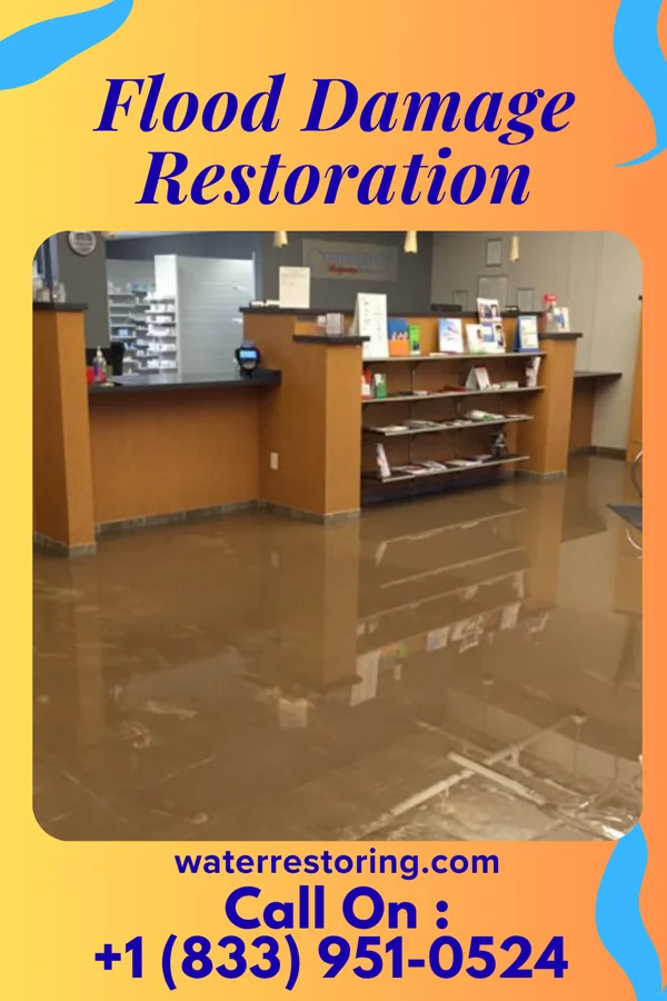 Flood Damage Restoration in Berryville, VA