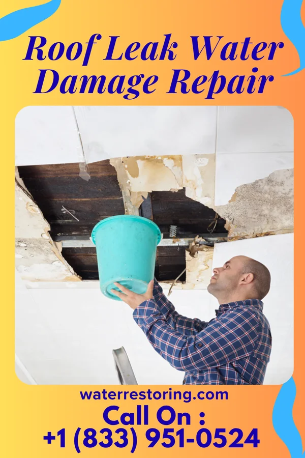 Roof Leak Water Damage Repair in Berryville, VA