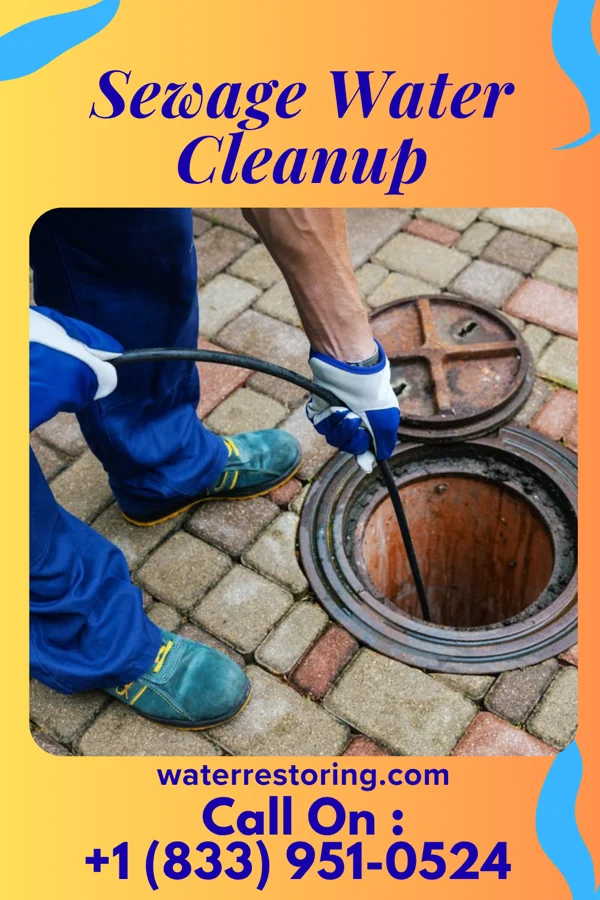 Sewage Water Cleanup in Berryville, VA